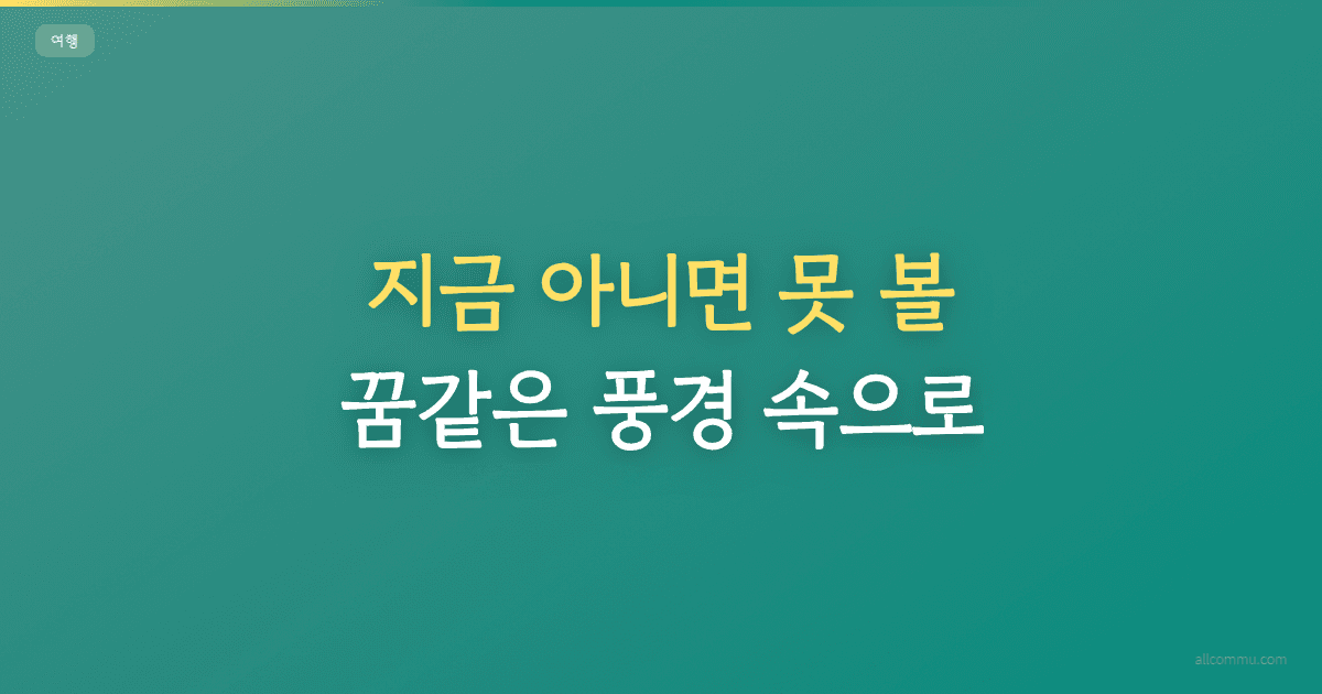 지금 아니면 못 볼, 꿈같은 풍경 속으로