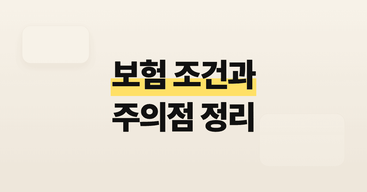 보험 조건과 주의점 정리