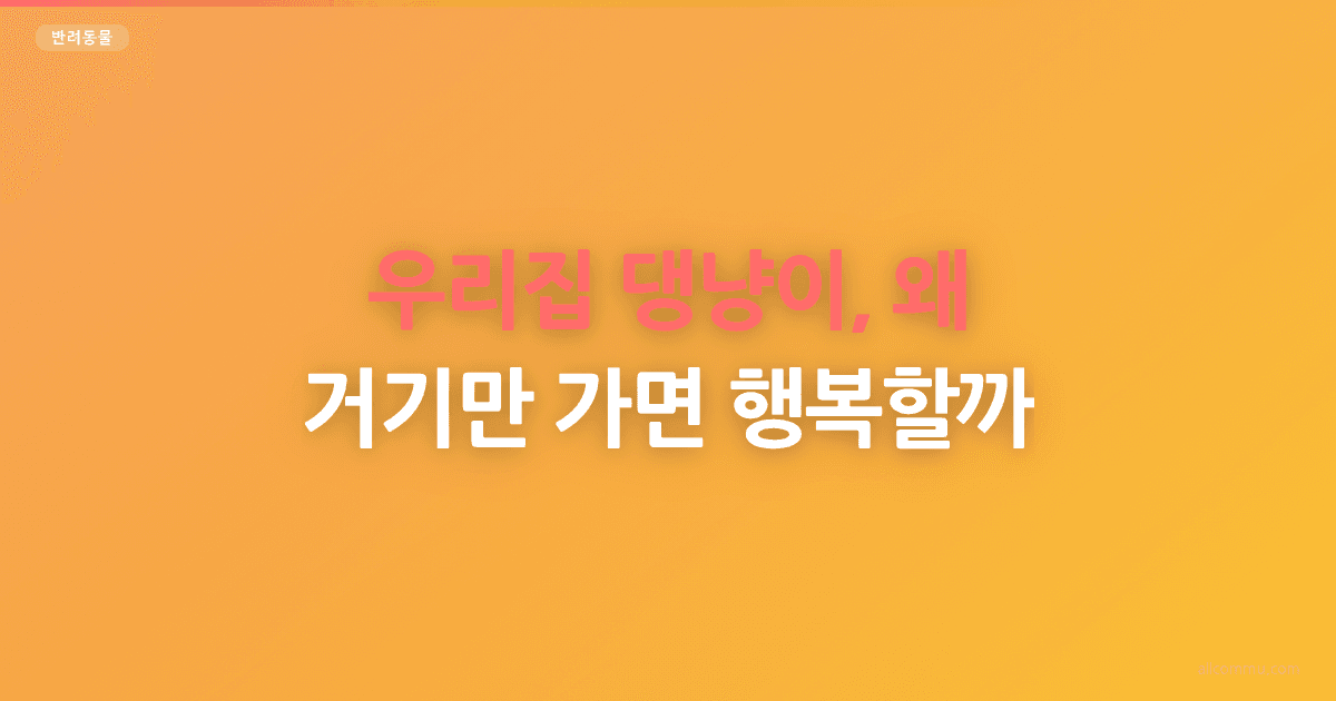 우리집 댕냥이, 왜 거기만 가면 행복할까?