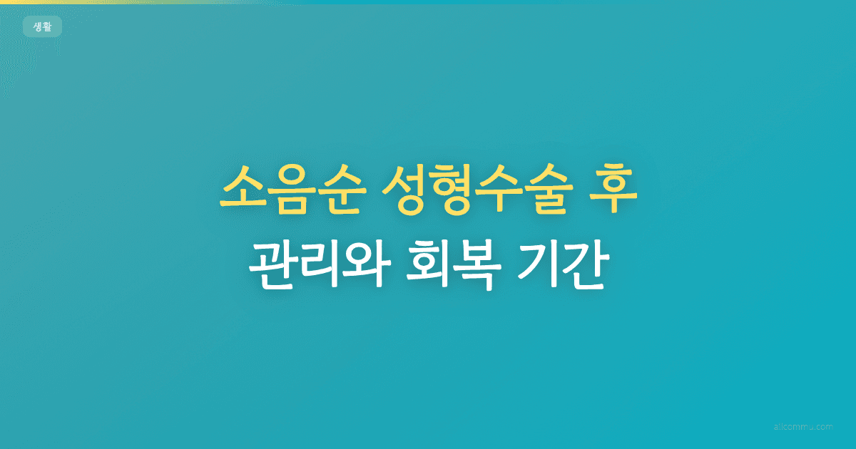 소음순 성형수술 후 관리와 회복 기간